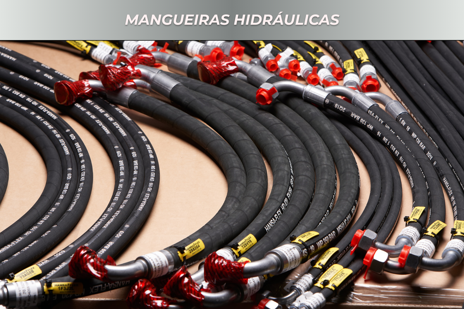 Texto do seu parágrafo (1)