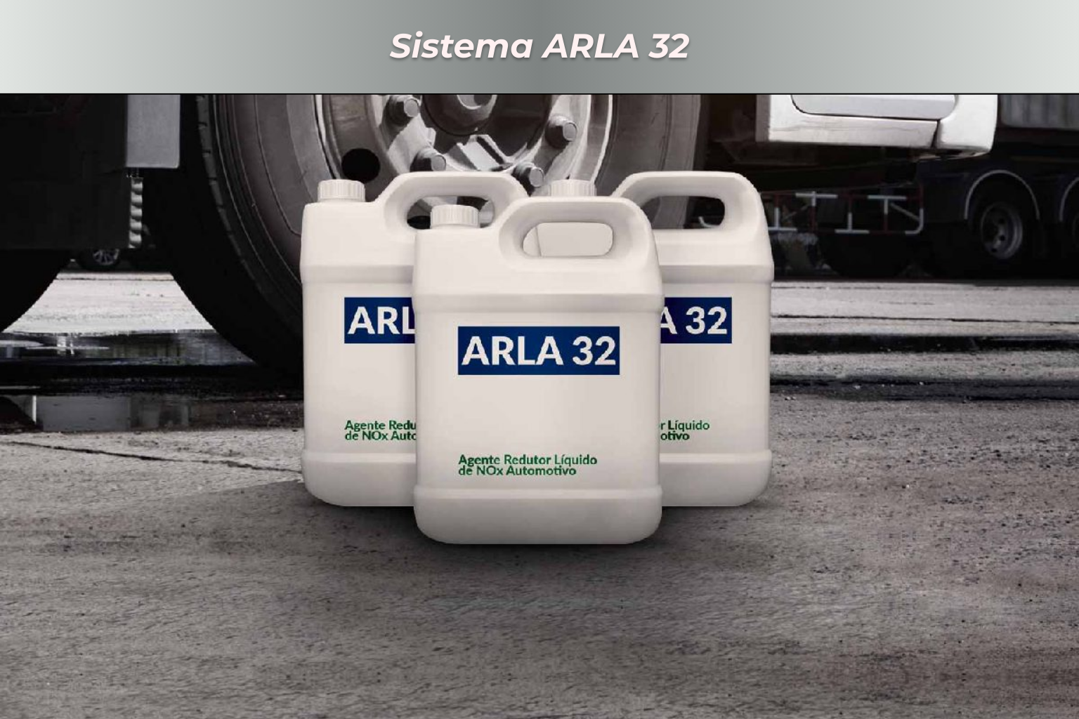 Texto do seu parágrafo (5)